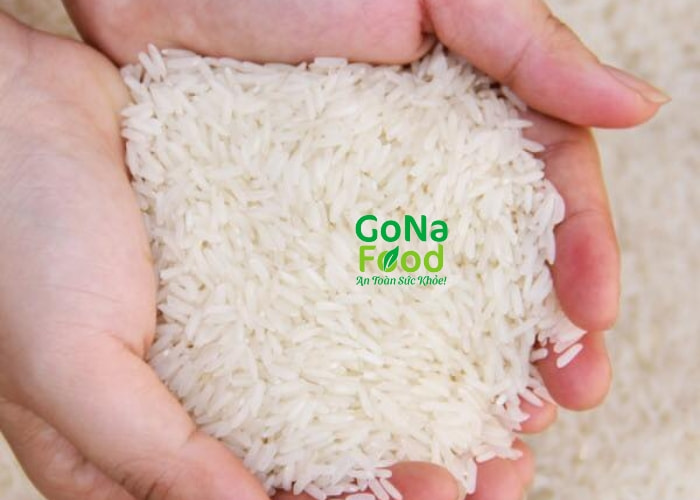 Gạo Bắc Hương có các đặc điểm sau