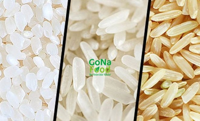 Kiến thức về gạo