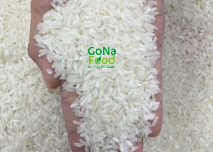 Đặc tính của gạo 504